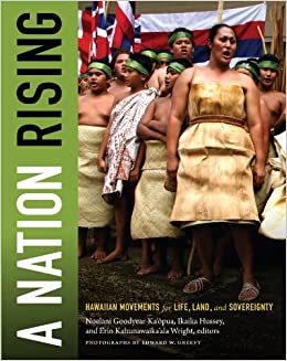 A Nation Rising bookcover