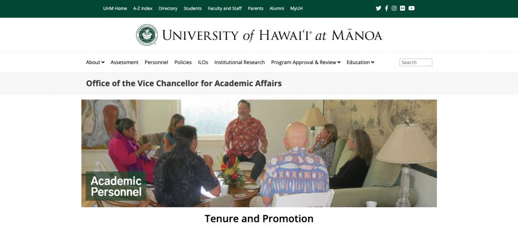 OVCAA tenure and promotion webpage screen shot